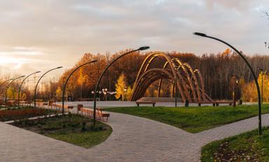 Горкинско-Ометьевский лес